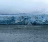 DJ buchen für Hochzeit & Events | Rock-DJ & Party-Musik